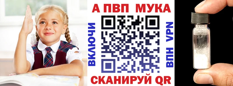 закладки  Новосокольники  APVP СК 