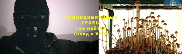 тгк Снежинск