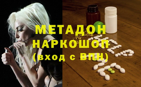 ГАЛЛЮЦИНОГЕННЫЕ ГРИБЫ Ельня
