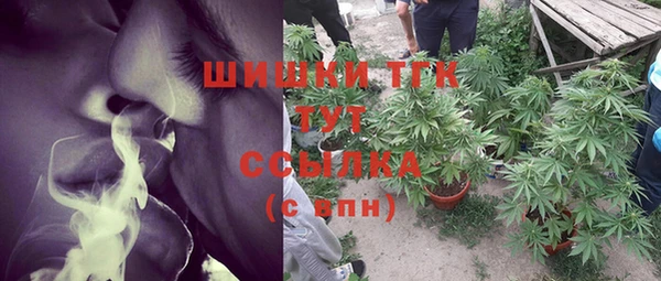 прущая мука Бородино
