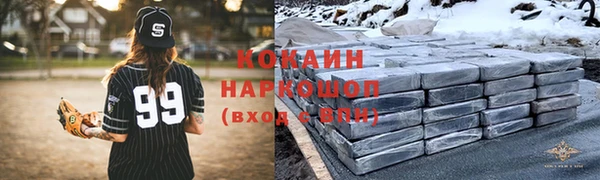 шишки Слюдянка
