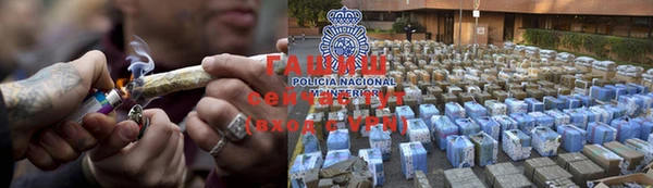 крисы Елабуга