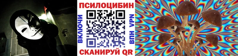 Галлюциногенные грибы Psilocybine cubensis  магазин продажи   Новосокольники 