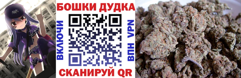 Канабис индика  где купить наркоту  Новосокольники 